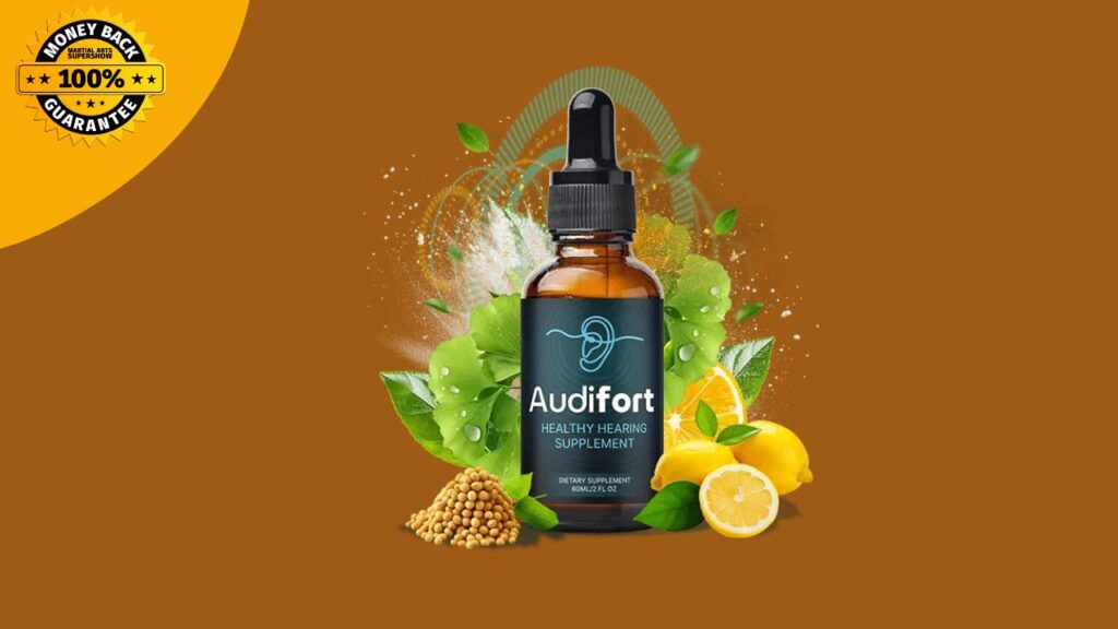 AudiFort