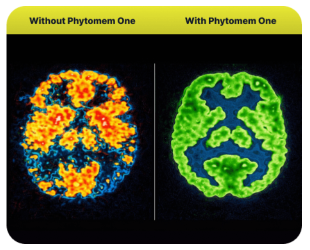 Phytomem One-benefits
