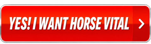 yes-i-want-Horse Vital